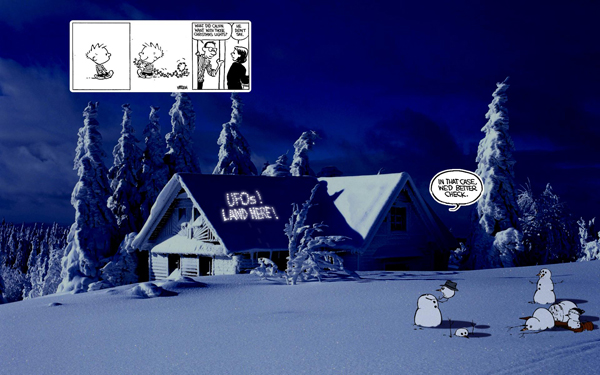 Real-Calvin-and-Hobbes_05